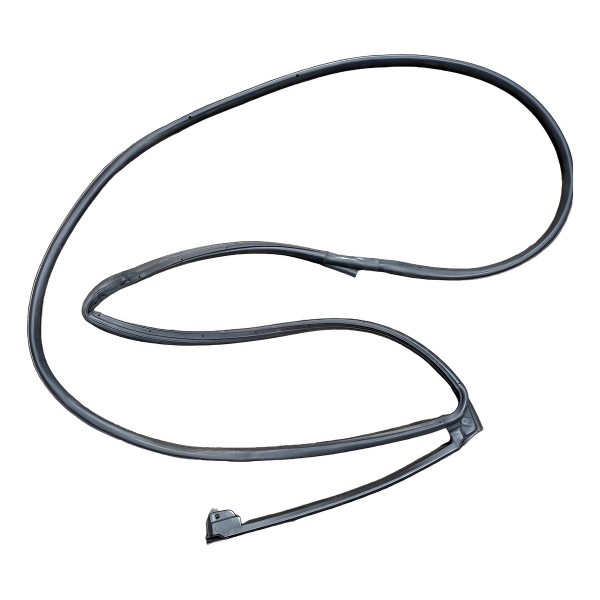 Borracha De Porta Ram 2500 2022 Traseira Esquerda Externa